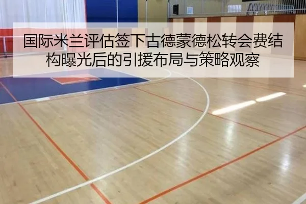 国际米兰评估签下古德蒙德松转会费结构曝光后的引援布局与策略观察